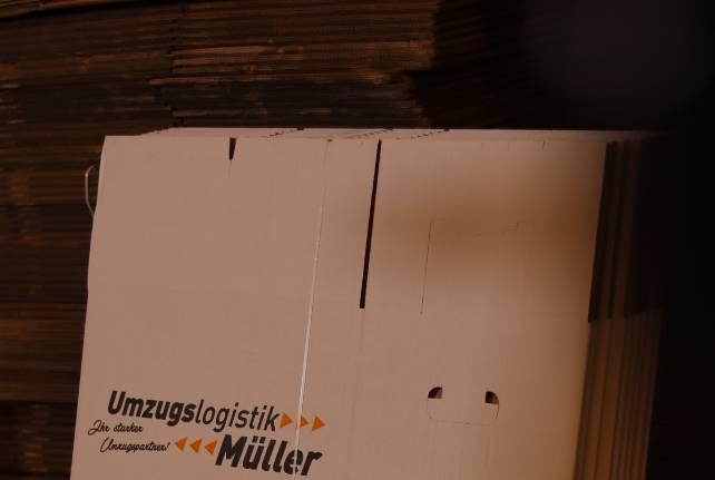 Günstiger Behördenumzug Struppen