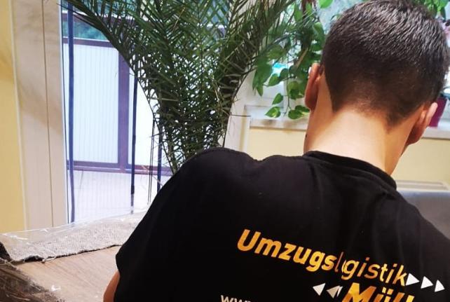 Preise für Ihren Studentenumzug in Struppen